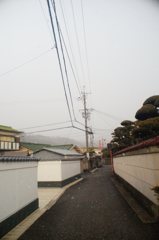 20180212_寒い日#08