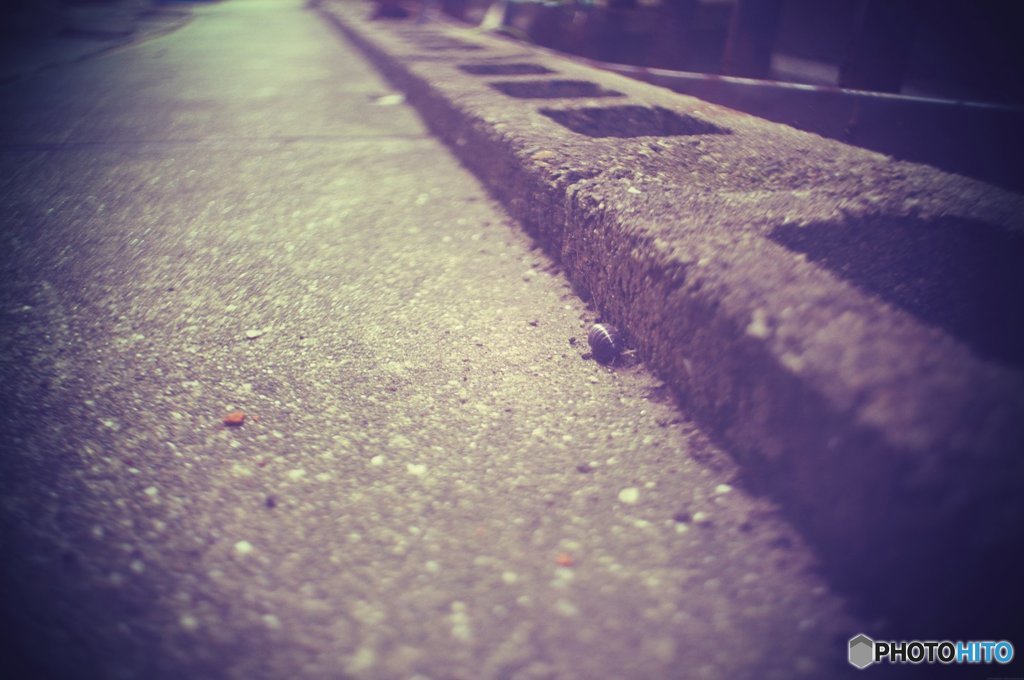 20170827_夏の残#06