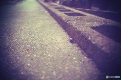 20170827_夏の残#06