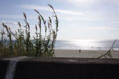 20200320~ｺﾛﾅ以前#01