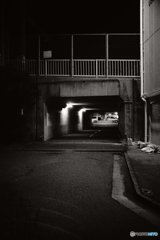 20171015_金木犀の香る頃#03