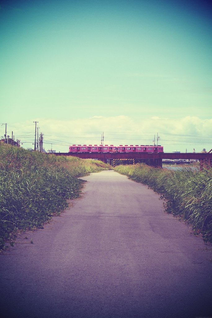 20170819_夏のある日#15