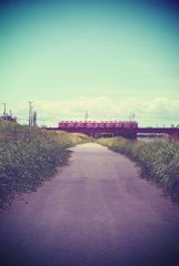 20170819_夏のある日#15