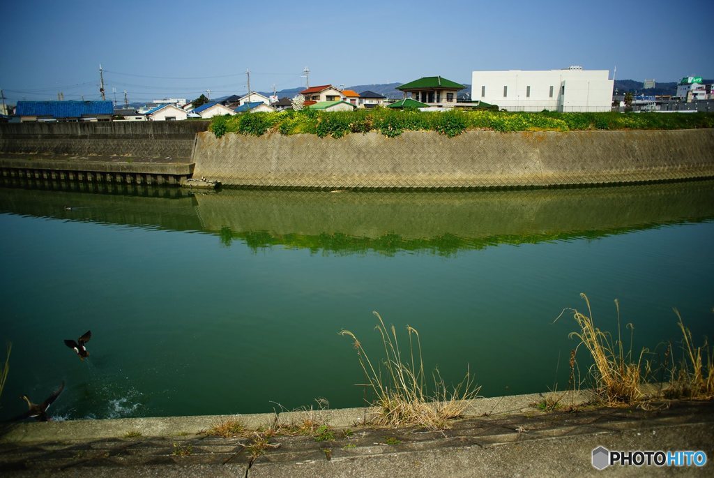 20170318_もう彼岸#07