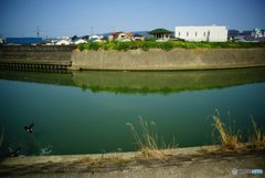 20170318_もう彼岸#07