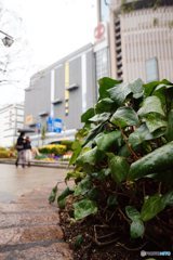 20170326_目標の無い休日#10