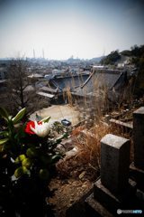 20170318_もう彼岸#09