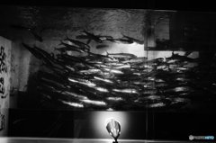 20160604_Holiday_Slow_Time#10