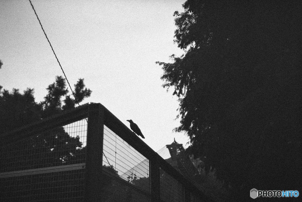 20180311_かって#05