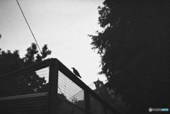 20180311_かって#05