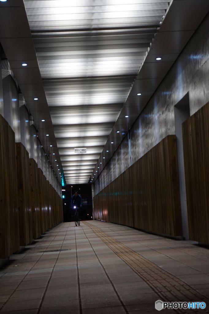 20161206_出張の旅#03