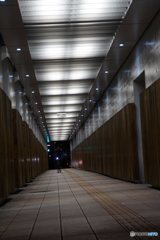 20161206_出張の旅#03