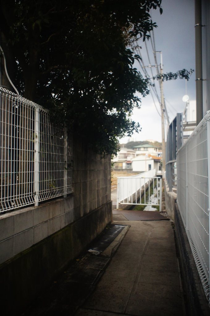 20180212_寒い日#07