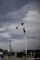 20180311_かって#14