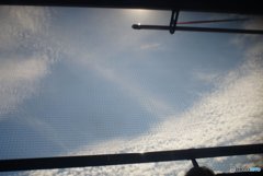 20170827_夏の残#07