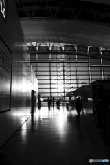 20171203_12月になった#07