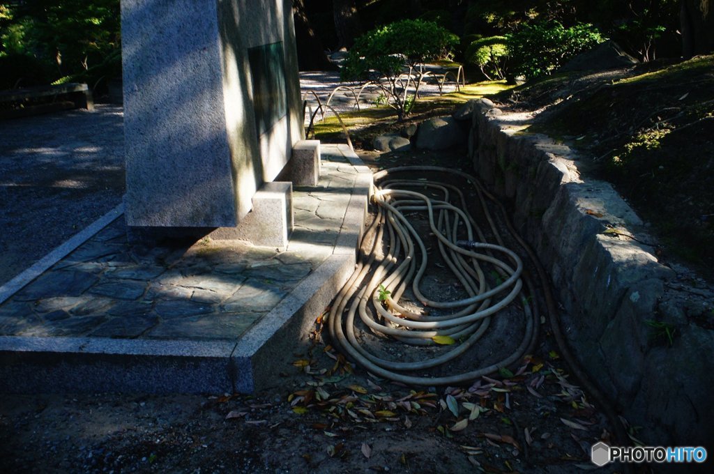 20180721_酷暑の日常#01