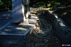 20180721_酷暑の日常#01