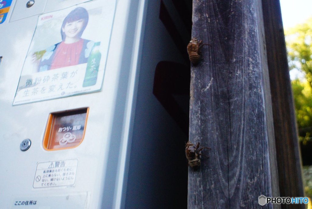 20180721_酷暑の日常#06