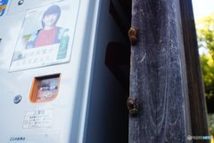 20180721_酷暑の日常#06