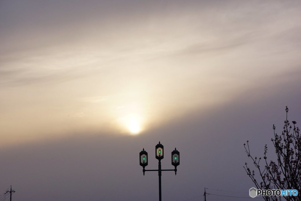 21060410_近所の春#18