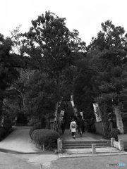 20190102_一言主神社#09