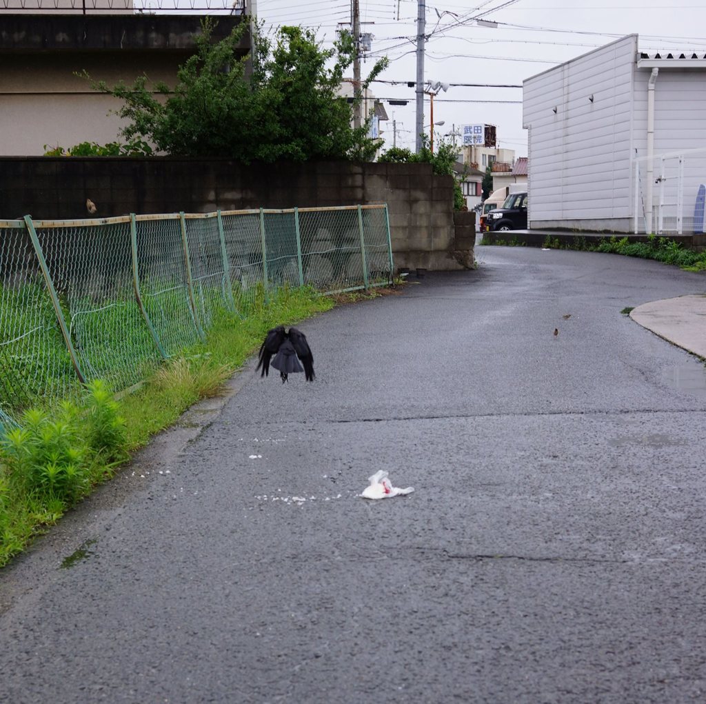 20150705_なんでもない1日#14