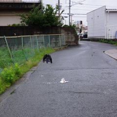 20150705_なんでもない1日#14