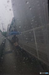 20180707_ひどい雨だった#03