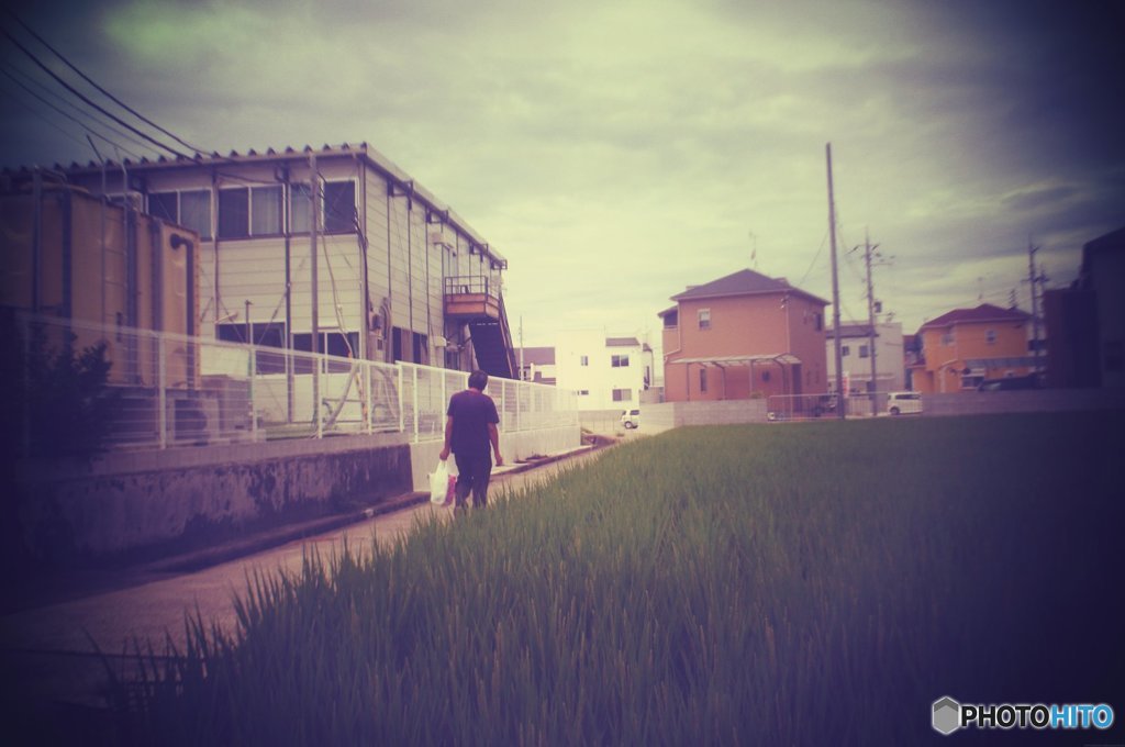 20170827_夏の残#05