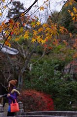 201412京都#18
