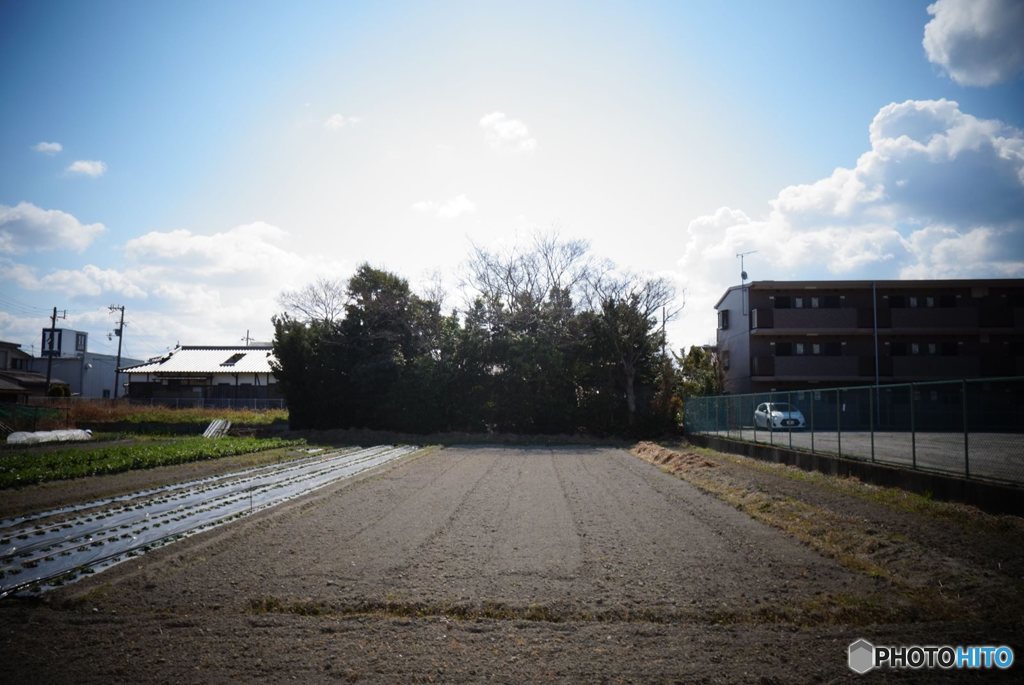 20170311_目標の無い休日#06