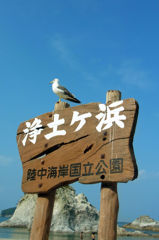 力強く生きる