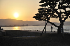 夕日