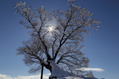 雪のち晴れ
