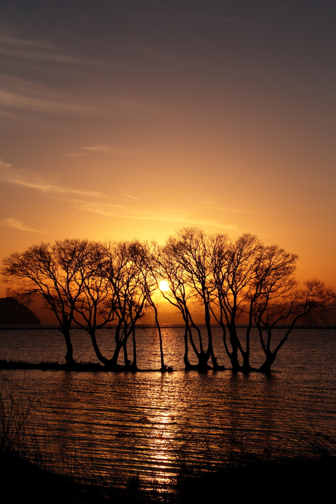 湖北の夕陽_2