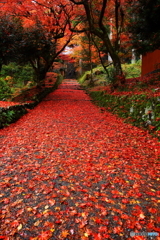 鶏足寺_2