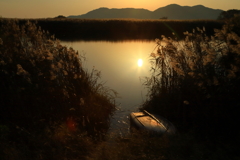 西の湖夕景