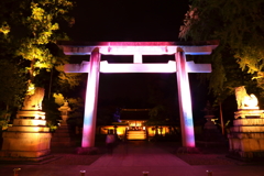 多賀大社神あかり_1
