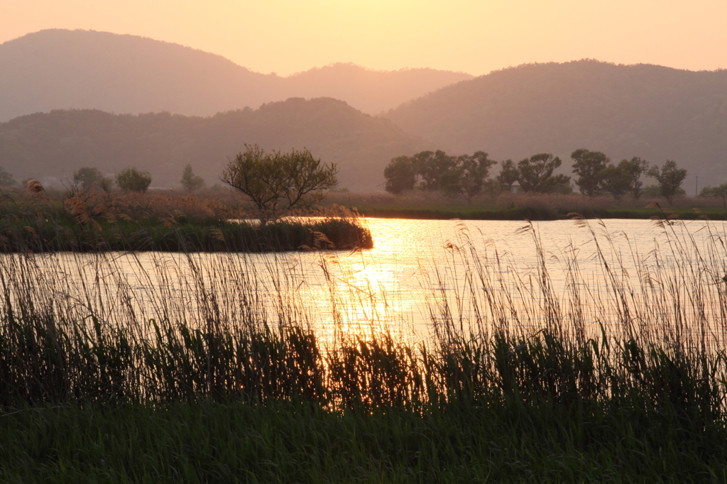 西の湖の夕焼け