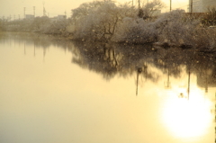 降雪