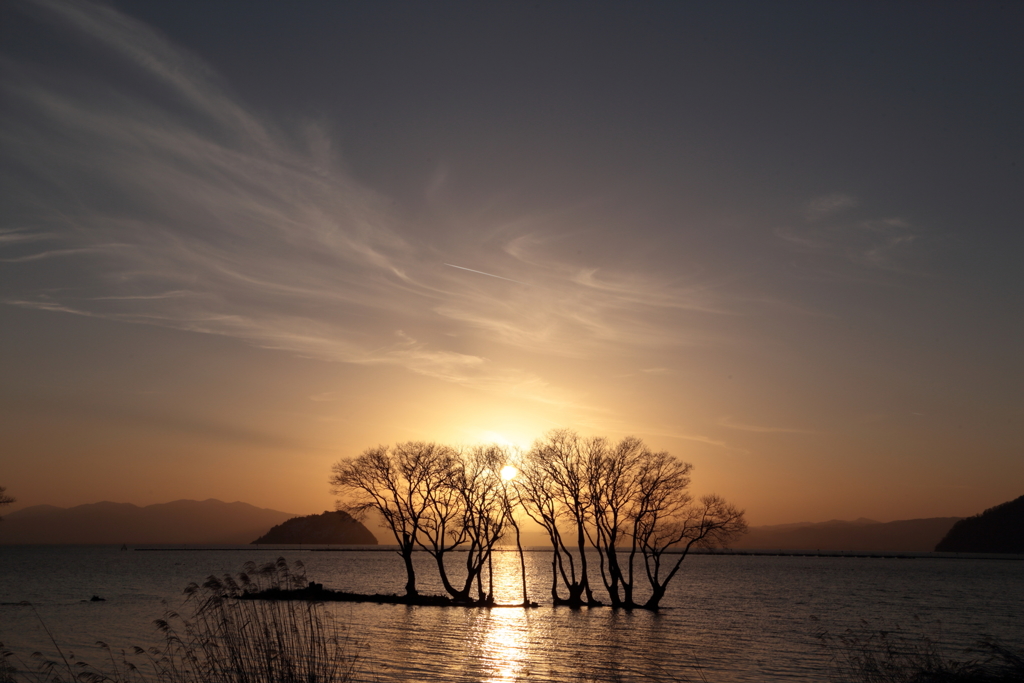 湖北の夕陽_1