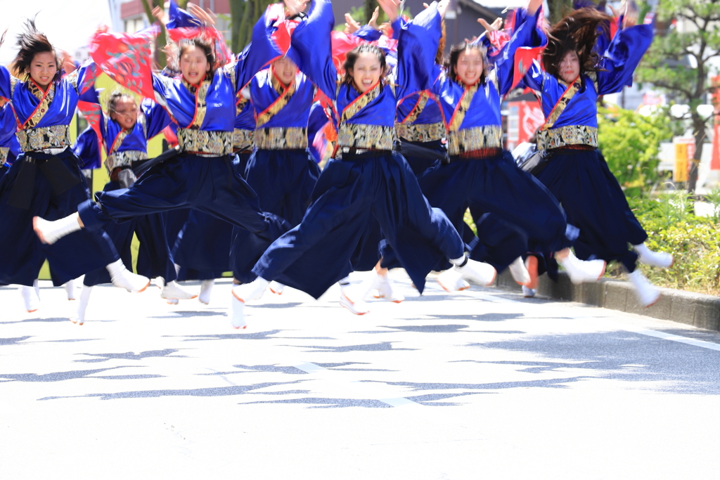 よさこいソーラン日本海彦根三十五万石大会_5