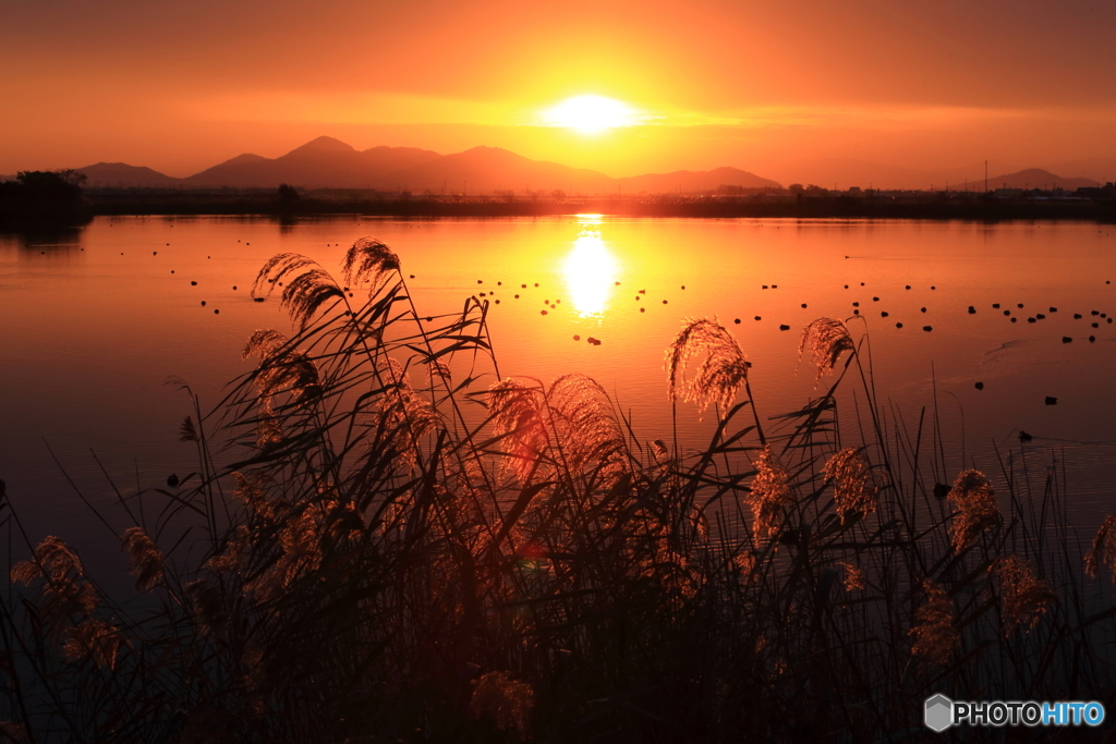 曽根沼夕景_3