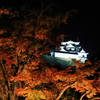 紅葉と彦根城