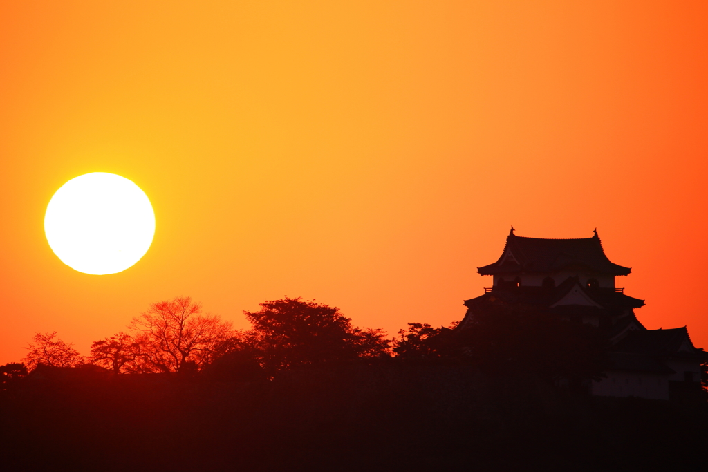 夕陽と彦根城