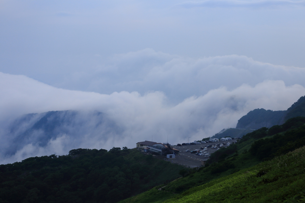 雲海