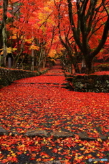 鶏足寺_4