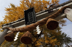 天川命神社