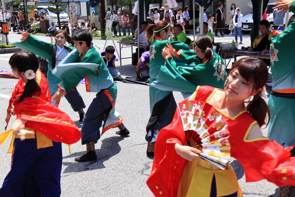 よさこいソーラン日本海彦根三十五万石大会_3